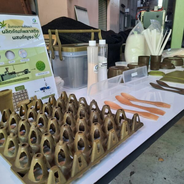 LINE_ALBUM_รองปลัดจุลพงษ์ เยี่ยมชมการพัฒนากัญชง 1_18